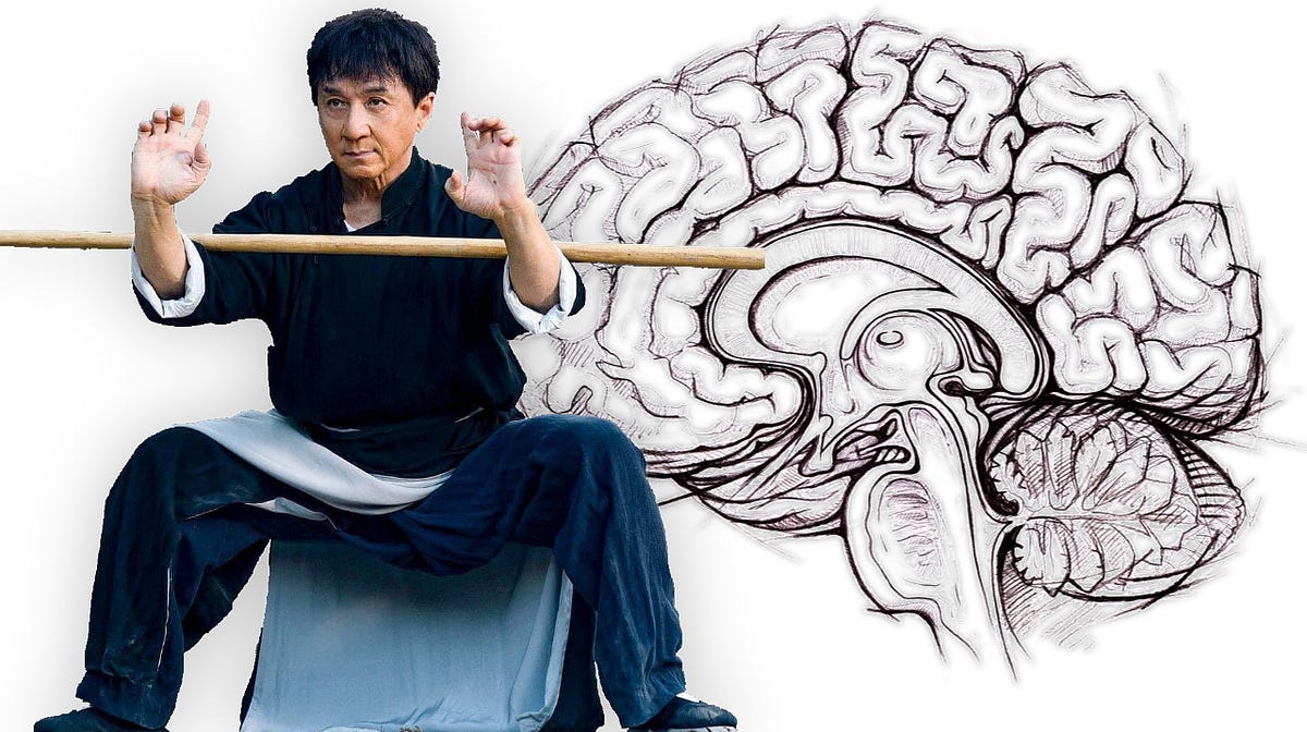 Jackie Chan Horse Stance and CNS Cerebellar Mapping