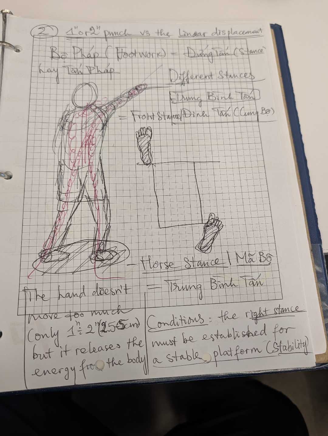 1-Inch Punch vs Linear Displacement and Stance Biomechanics Notes