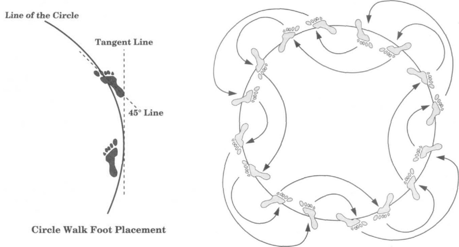 Baguazhang circle walking and direction change footwork diagram
