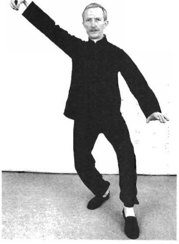 Tai chi combat stance and stepping
