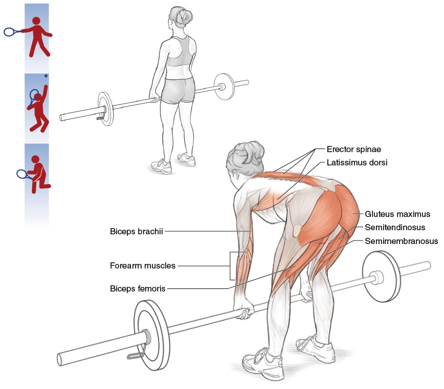Eccentric squat decline board