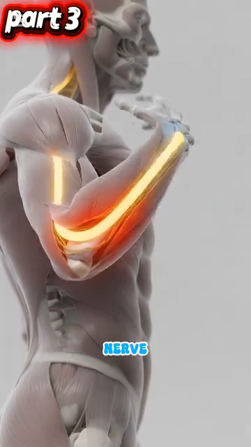 Hand 27 bones — sensor platform