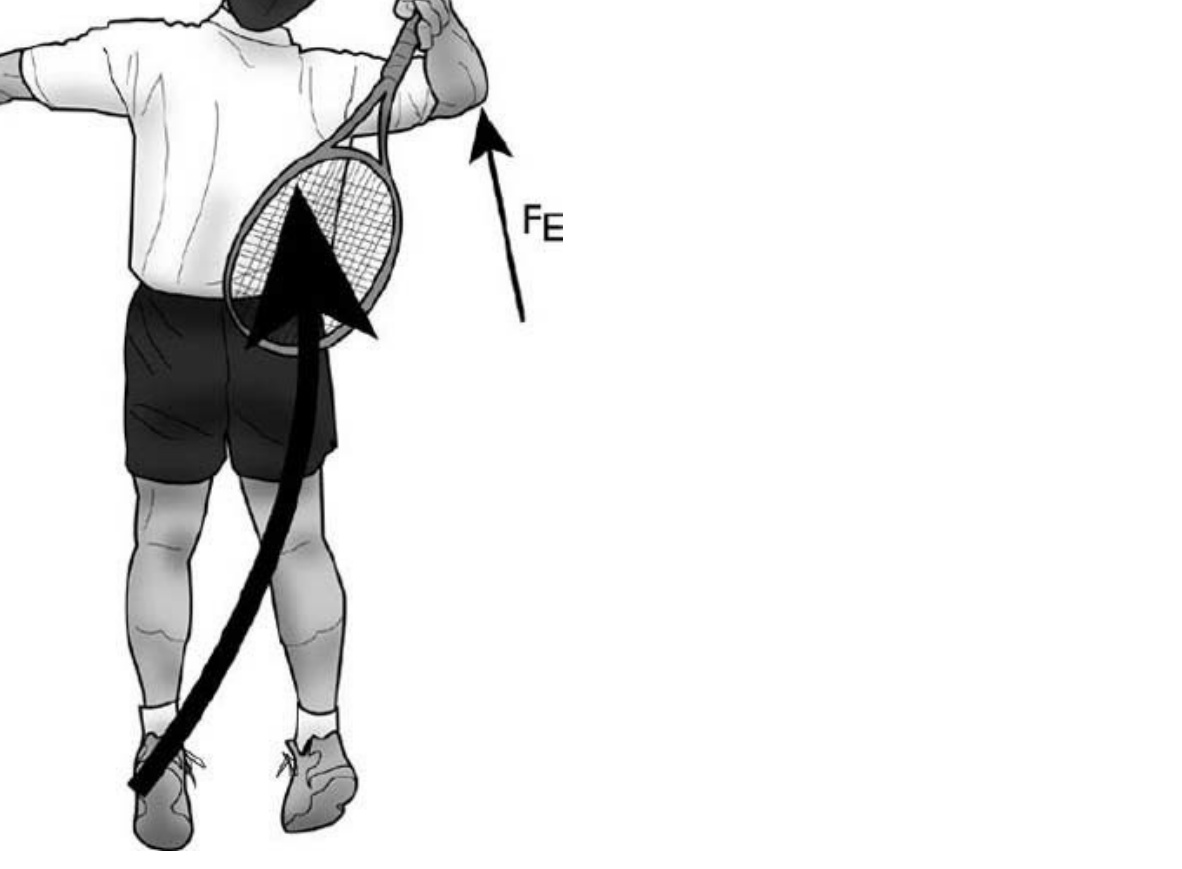 The flow of mechanical energy from the legs and trunk is transmitted to the elbow joint to accelerate the forearm and racket head