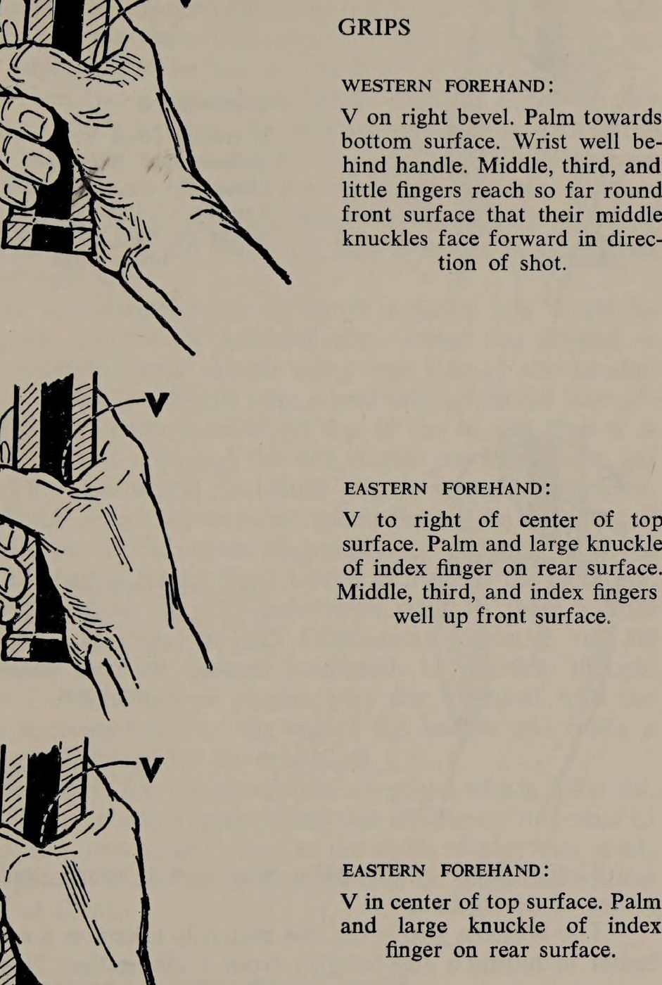Hình 3.2: Western Forehand: