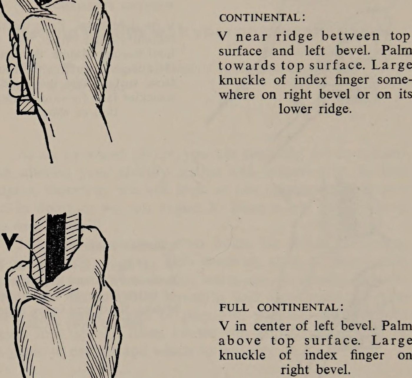 Hình 3.3: Continental: