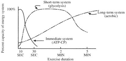 Minh họa bài tập trong sách Complete Conditioning for Tennis