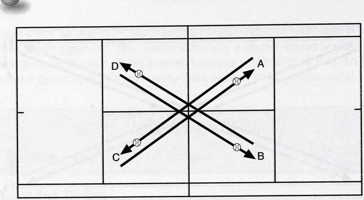Chương 2: Trình độ 3.0 - hình minh họa