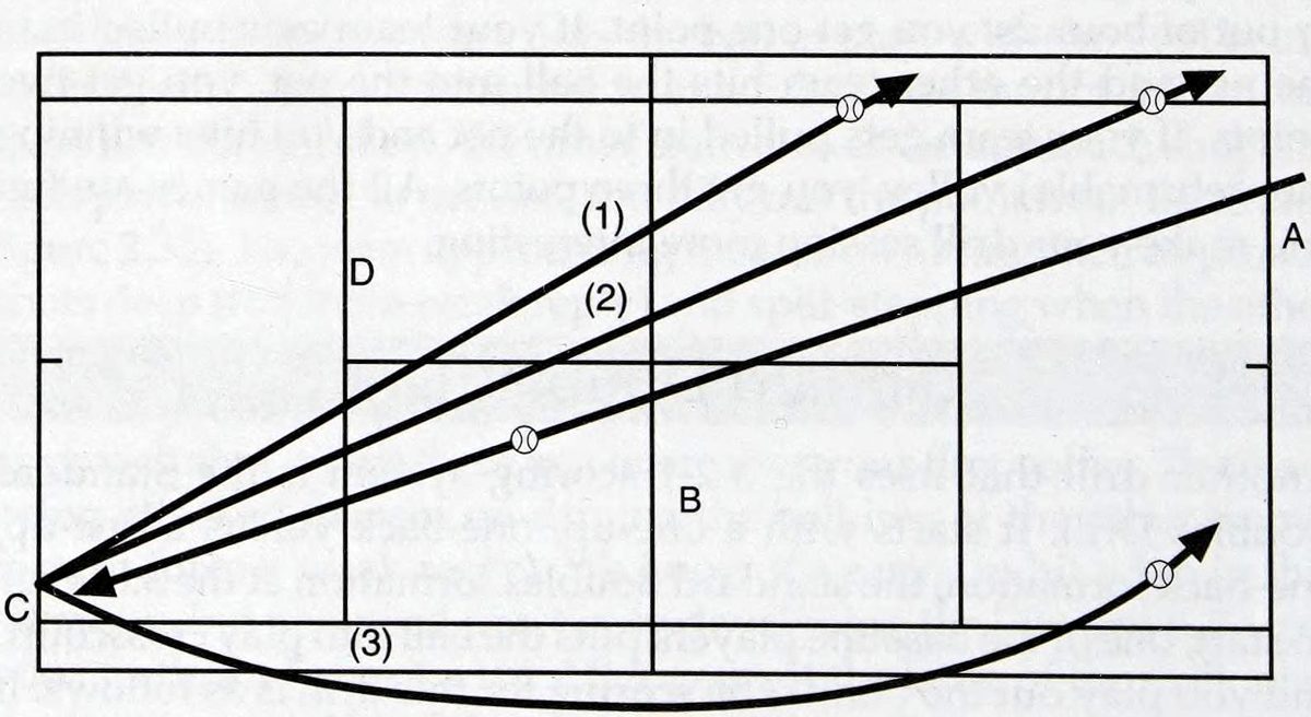Chương 2: Trình độ 3.0 - hình minh họa
