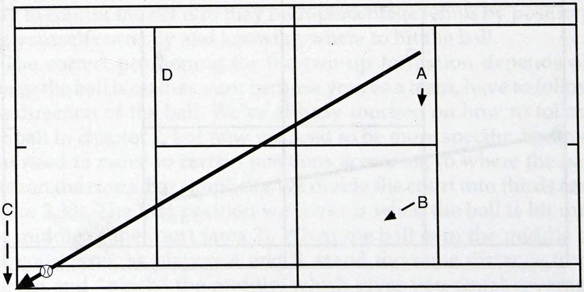 Chương 3: Trình độ 3.5 - hình minh họa