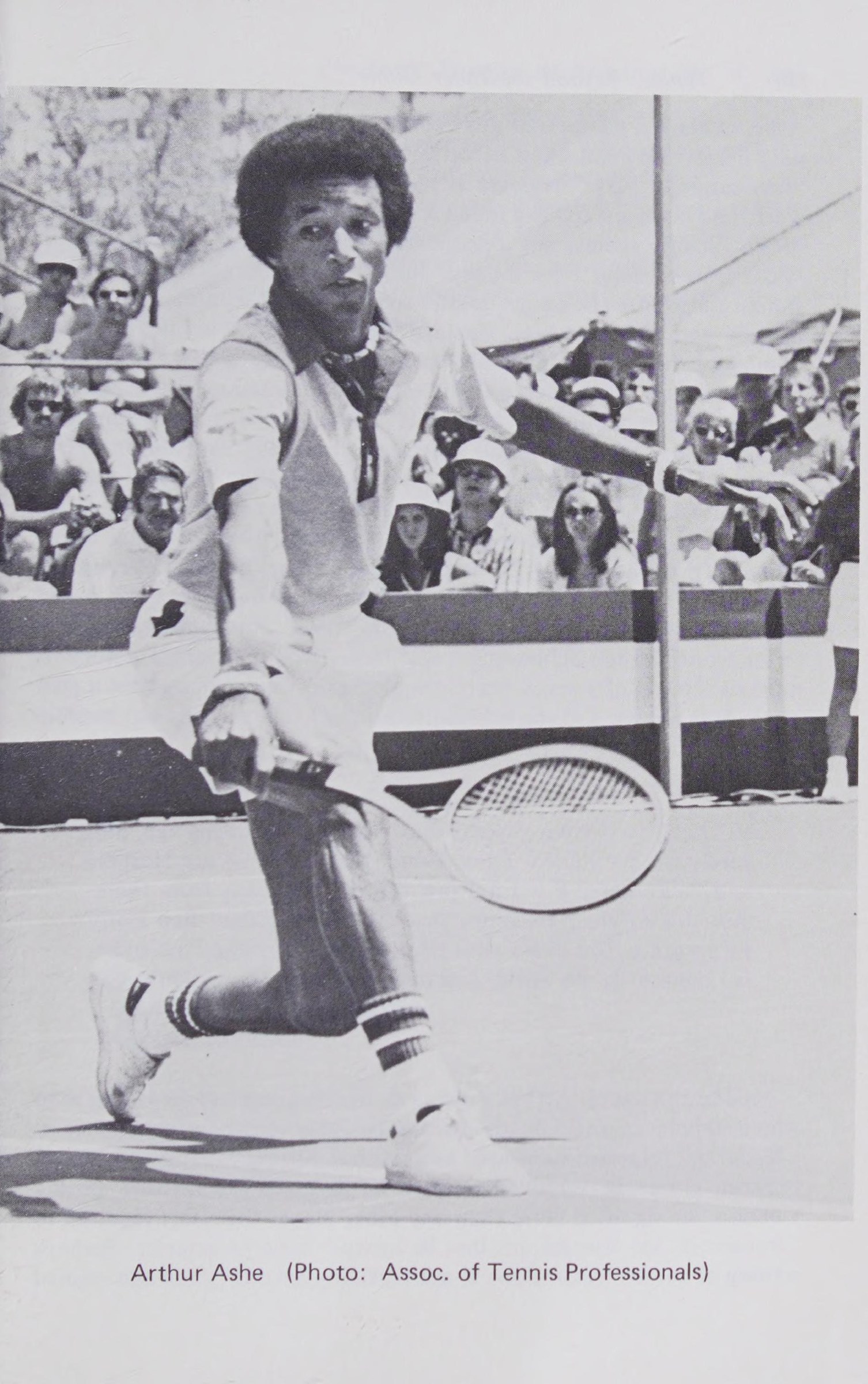 Hình 13.1: nhà vô địch · Arthur Ashe