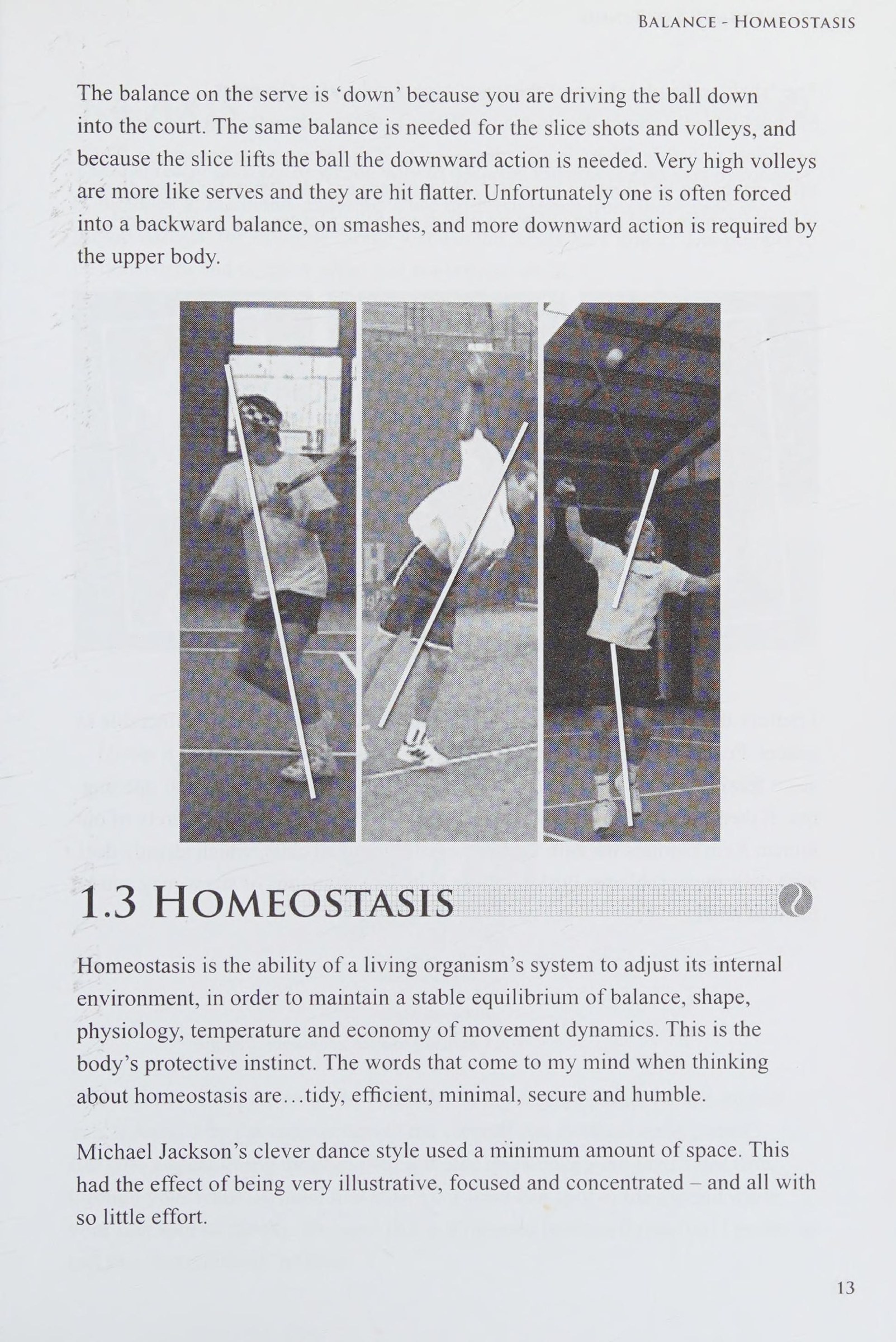 Nguyên lý Thăng bằng Động & Trục Chuyển động Tự nhiên (Homeostasis)