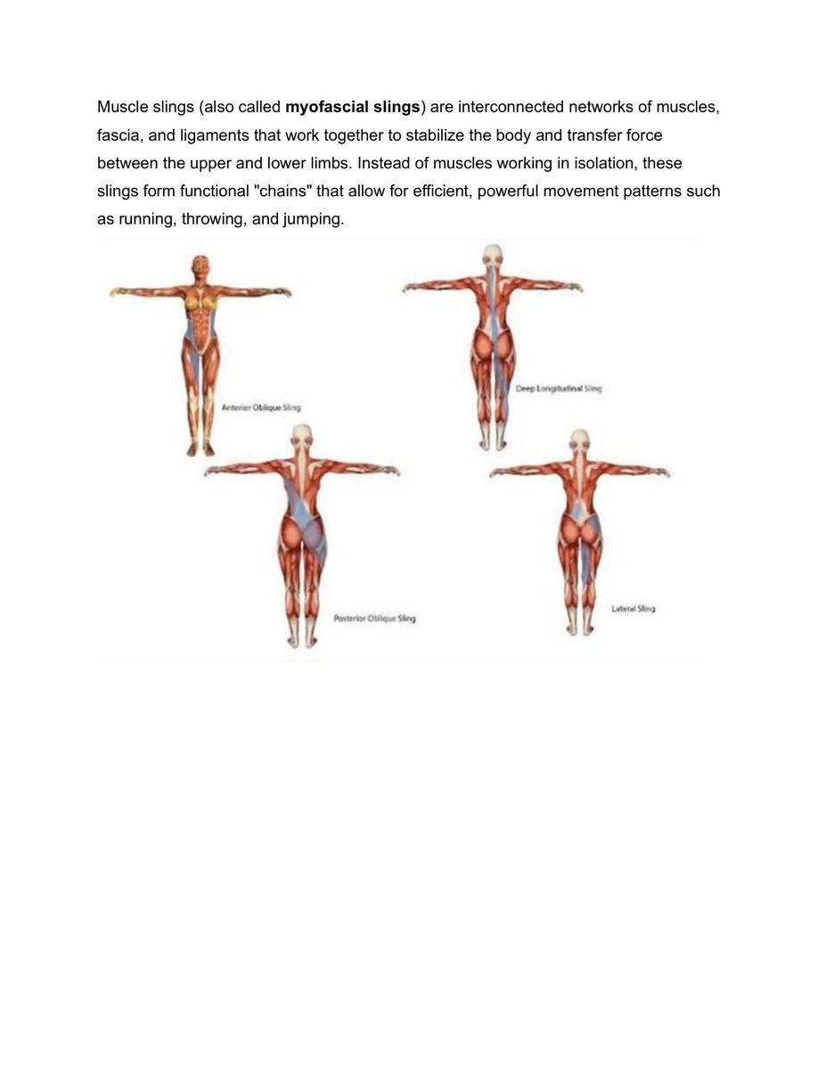 Bìa sách Muscle Slings in Tennis Myofascial Kinetic Chains