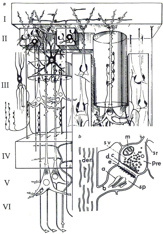 Hình 17.2.
