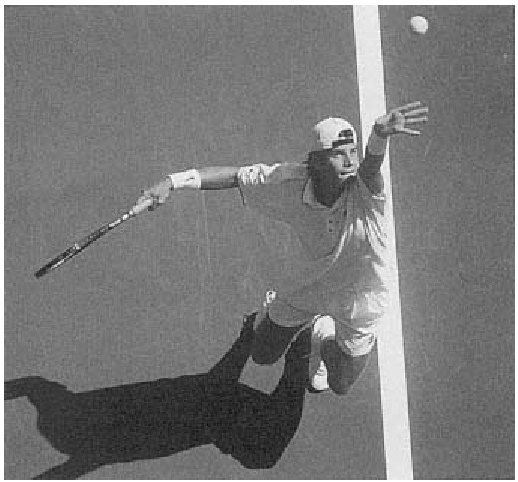 Tommy Haas chuẩn bị bùng nổ trong cú giao bóng của mình.