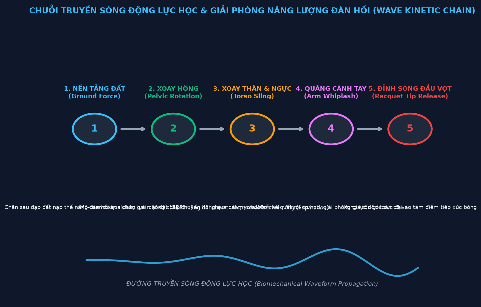 Chuỗi Truyền Sóng Động Lực Học và Giải phóng Đàn hồi