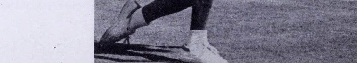 Chương 3: Cú Trái Tay - hình minh họa