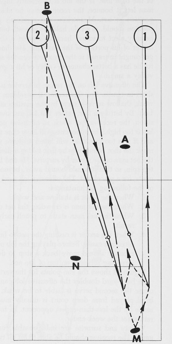 Hình 19