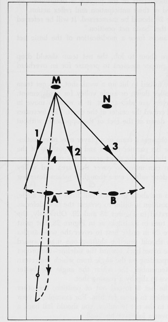 Hình 28