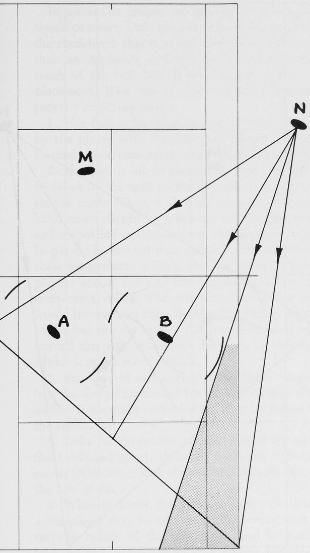 Hình 29