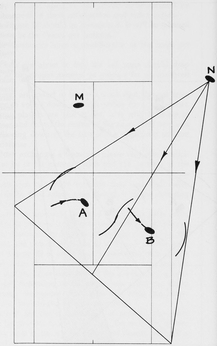 Hình 30