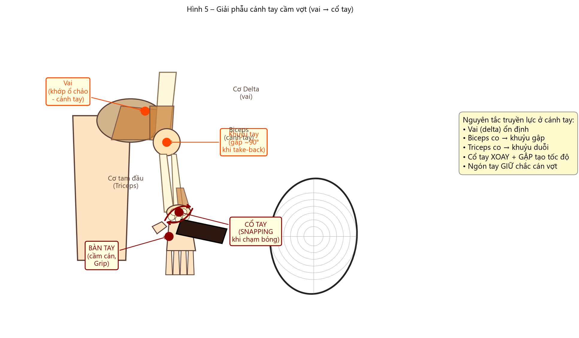 image72 png