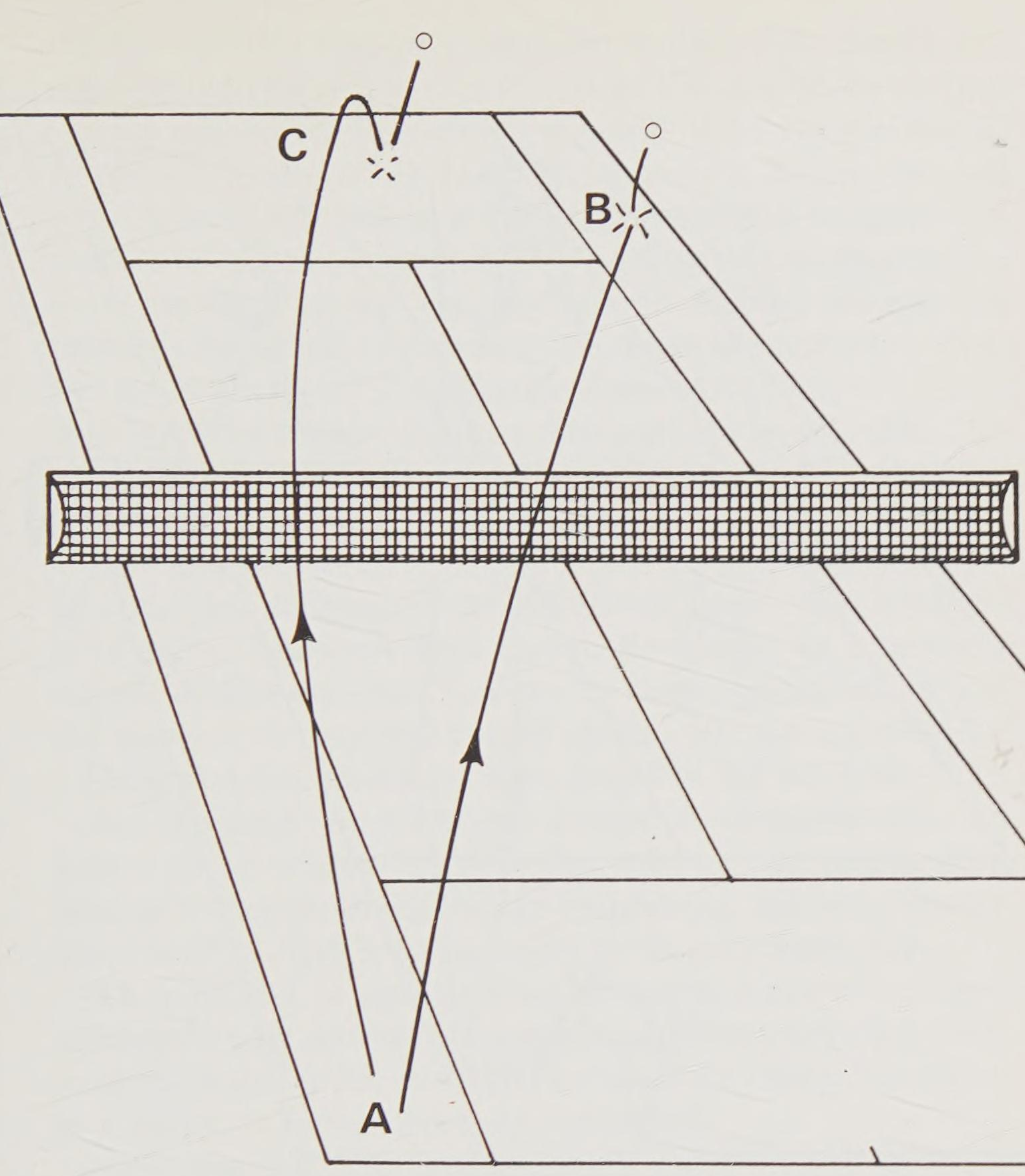 Hình 31
