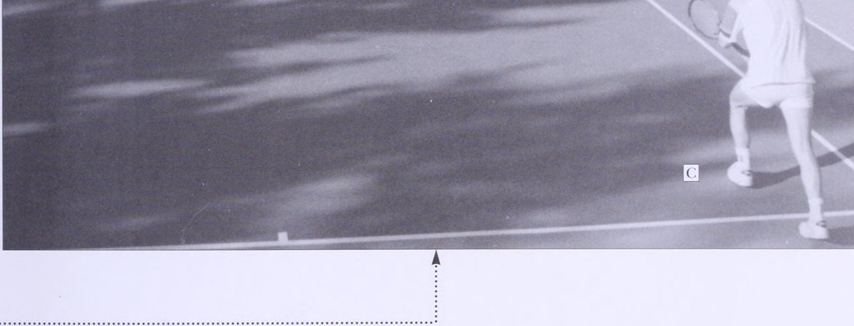 Nước biến 7 - Ảnh 3