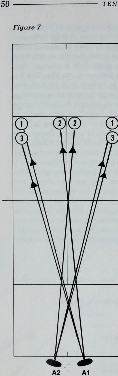 Hình 7: Điểm ngắm giao bóng Đơn